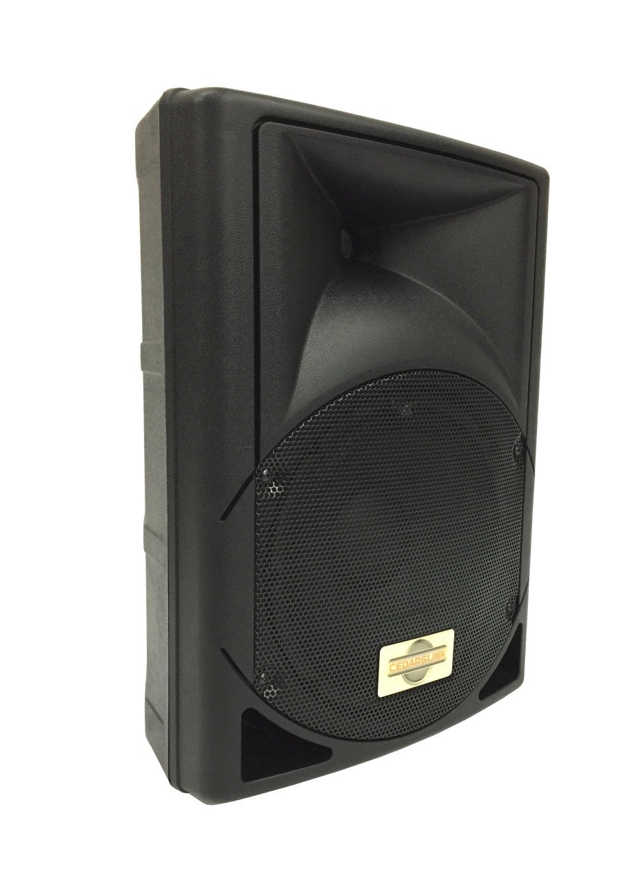 LK-P10 10" 2 Way Passive Loudspeaker