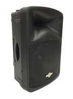 LK-12ABM 12" 2 Way Amplified Loudspeaker With BlueTooth and Wireless Mic Set